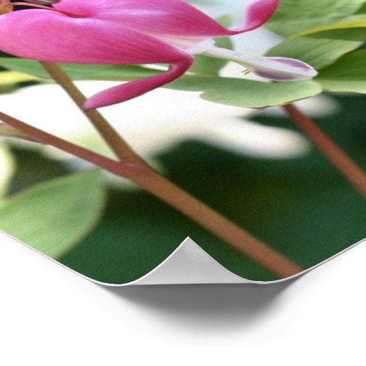 Single Pink Blutung Herz Blume Poster (Ecke)