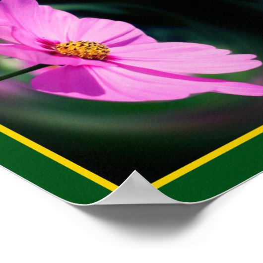 Single Pink Cosmos Blume Abstrakt Poster (Ecke)