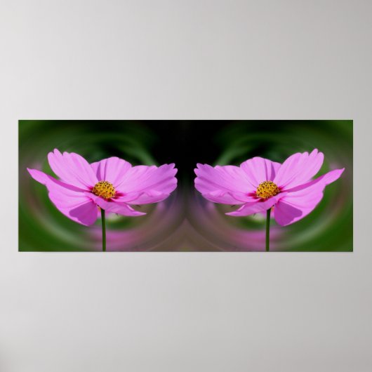 Single Pink Cosmos Blume Mirror Abstrakt Poster (Vorne)