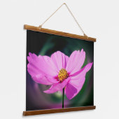Single Pink Cosmos Blume Wandteppich Mit Holzrahmen (Gewinkelt)