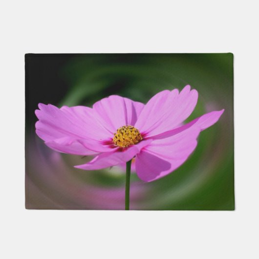 Single Pink Cosmos Wildblume Fußmatte (Vorderseite)