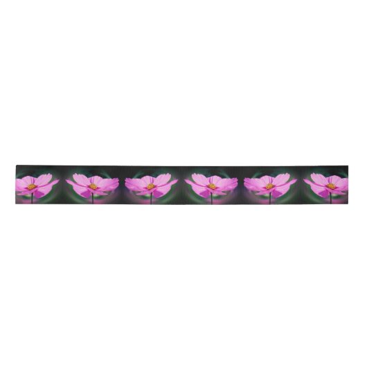 Single Pink Cosmos Wildblume Satinband (Vorderseite)