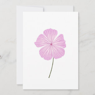 Single Pink Lavatera Einladung