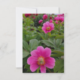 Single Pink Peonies Mitteilungskarte