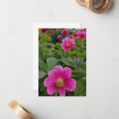 Single Pink Peonies Mitteilungskarte (Vorderseite/Rückseite Beispiel)