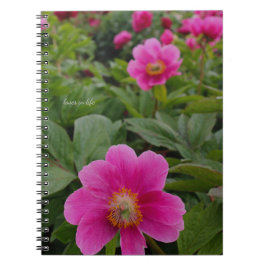 Single Pink Peonies Notizblock
