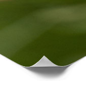 Single Pink Poppy Foto Nah-up Poster (Ecke)