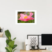 Single Pink Poppy Foto Nah-up Poster (Heimbüro)