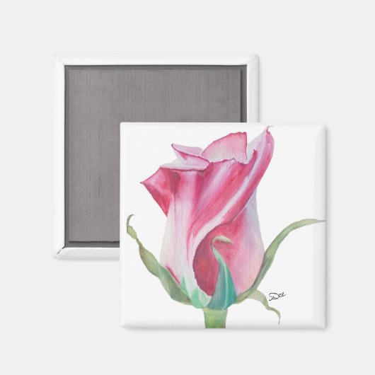 Single Pink Rose Magnet (Vorderseite/Rückseite)