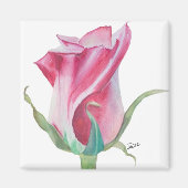 Single Pink Rose Magnet (Vorne)