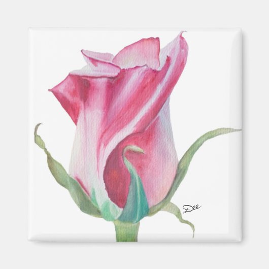 Single Pink Rose Magnet (Vorne)
