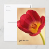 Single Pink Tulip Postkarte (Vorne/Hinten)