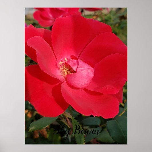 Single Poster (Vorne)