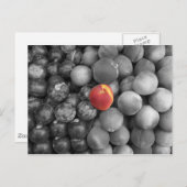 Single Postkarte (Vorne/Hinten)