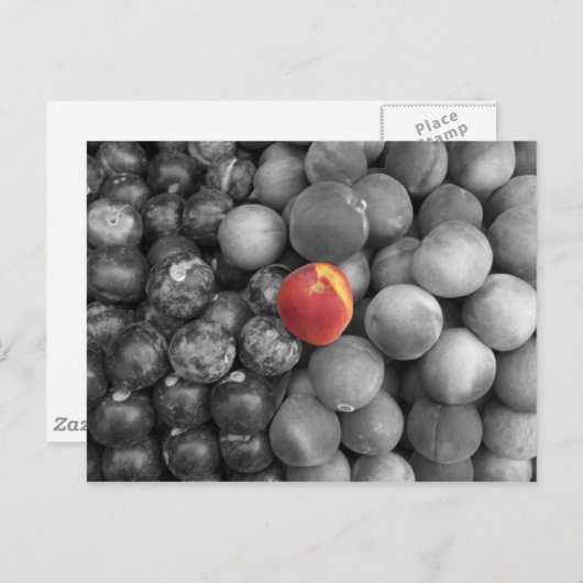 Single Postkarte (Vorne/Hinten)