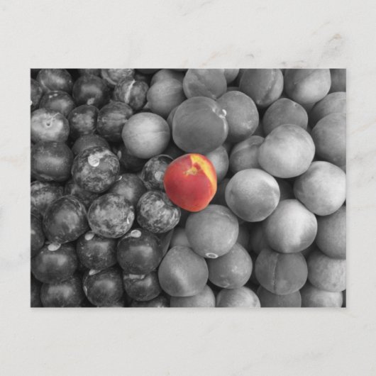 Single Postkarte (Vorderseite)