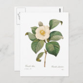 Single Postkarte (Vorne/Hinten)