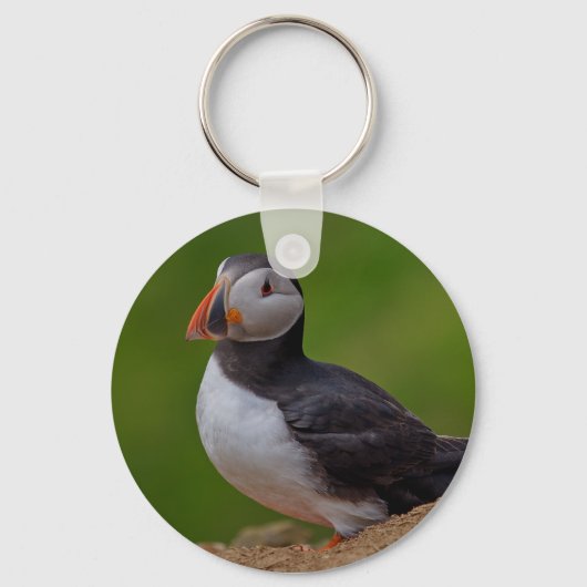 Single Puffin Schlüsselanhänger (Vorderseite)