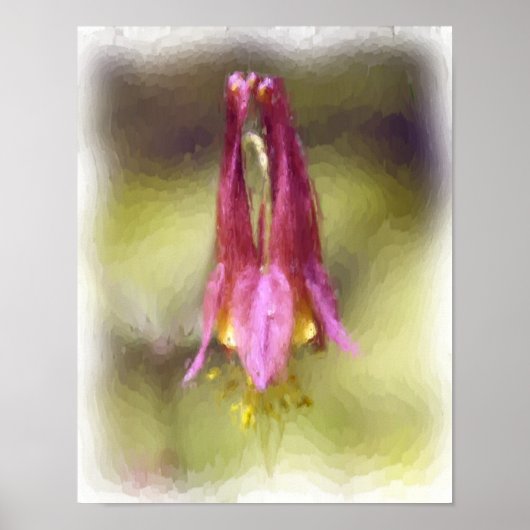 Single Red Columbine Blumen Art Poster (Vorne)