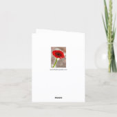 Single Red Gerbera Faltkarte Karte (Rückseite)