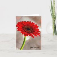 Single Red Gerbera Faltkarte
