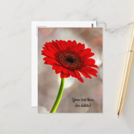 Single Red Gerbera Postcard Postkarte