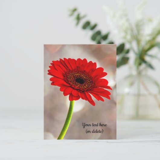 Single Red Gerbera Postcard Postkarte (Stehend Vorderseite)
