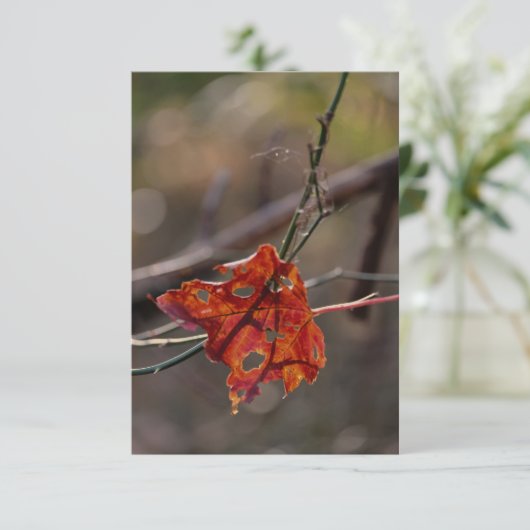 Single Red Leaf Dankeskarte (Stehend Vorderseite)