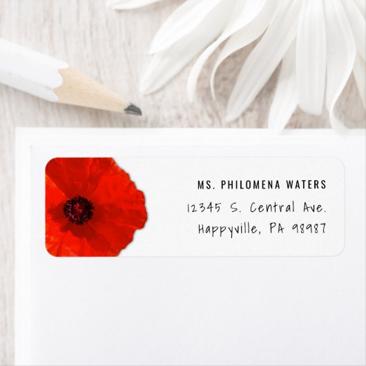 Single Red Poppe Zwei Vorlage (Insitu)