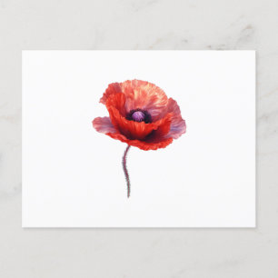 Single Red Poppy Blume Postkarte