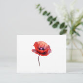Single Red Poppy Blume Postkarte (Stehend Vorderseite)