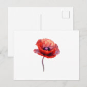Single Red Poppy Blume Postkarte (Vorne/Hinten)
