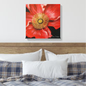 Single Red Poppy Leinwanddruck (Insitu (Schlafzimmer))