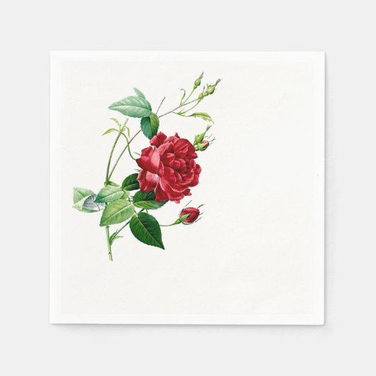 Single Red Redoute Rose Paper Napkins Serviette (Vorderseite)