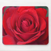 Single Red Rose in full Bloom Mousepad (Vorne)