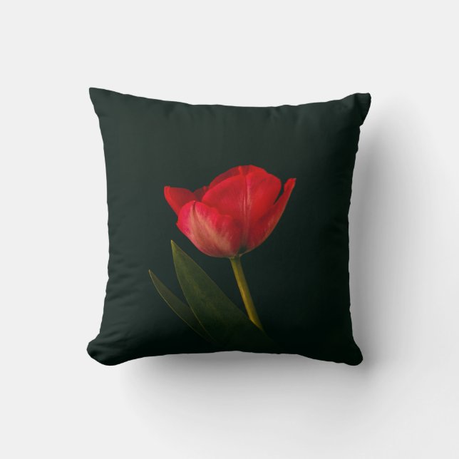 Single Red Tulip Kissen (Vorderseite)