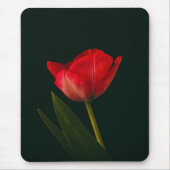Single Red Tulip Mousepad (Vorne)