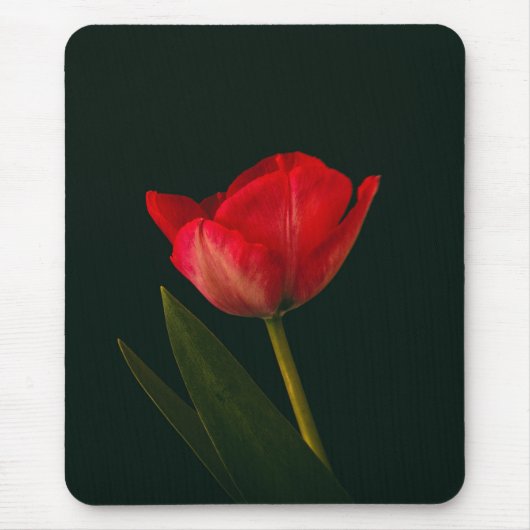 Single Red Tulip Mousepad (Vorne)