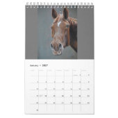 Single Reiten Kalender (Jan 2027)