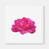 Single Rosa Blume Magnet (Vorne)
