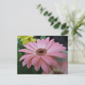 Single Rosa Blume Postkarte (Stehend Vorderseite)