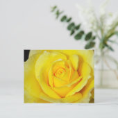 Single-Rosa-Druckkarte Postkarte (Stehend Vorderseite)