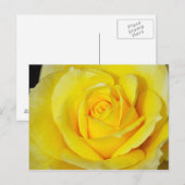 Single-Rosa-Druckkarte Postkarte (Vorne/Hinten)