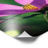 Single Rosa Kosmos Blume im Blut 8x10 Fotodruck (Ecke)