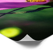 Single Rosa Kosmos Blume im Blut Poster (Ecke)