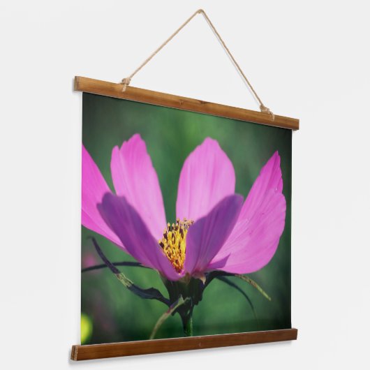 Single Rosa Kosmos Blume im Blut Wandteppich Mit Holzrahmen (Gewinkelt)