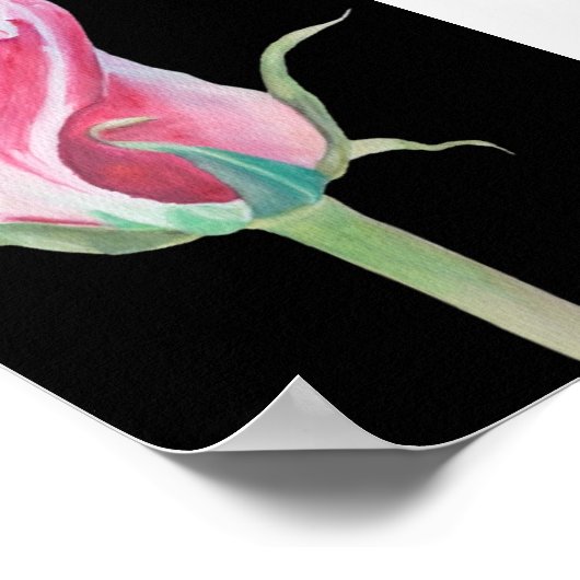 Single Rosa Premium Leinwand Poster (12x18) (Ecke)