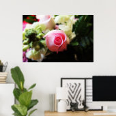 Single Rosa Rosa Fotografie Poster (Heimbüro)