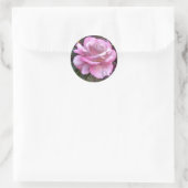 Single rosa Rosa Rose auf dem Aufkleber (Tasche)