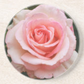 Single Rosa Rose Getränkeuntersetzer (Vorne)